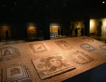 Ancient mosaics at Zeugma Mosaic Museum in Gaziantep Turkey