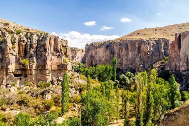 Trees and river scenery in Ihlara Valley