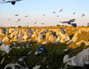 Nature view in Pigeon Valley Cappadocia