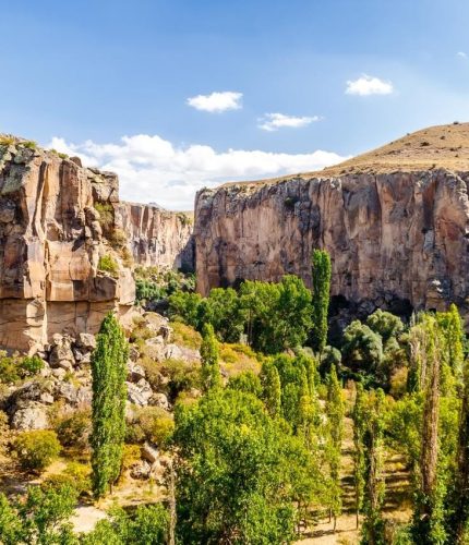 Trees and river scenery in Ihlara Valley